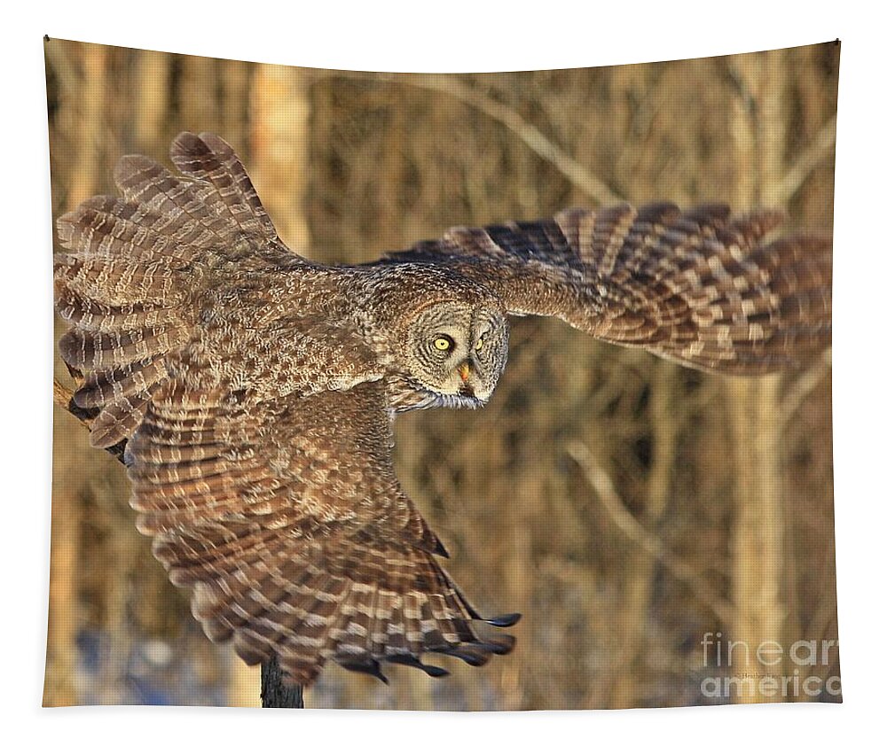Great Grey Owl Tapestry featuring the photograph Captain Great Grey to the rescue by Heather King