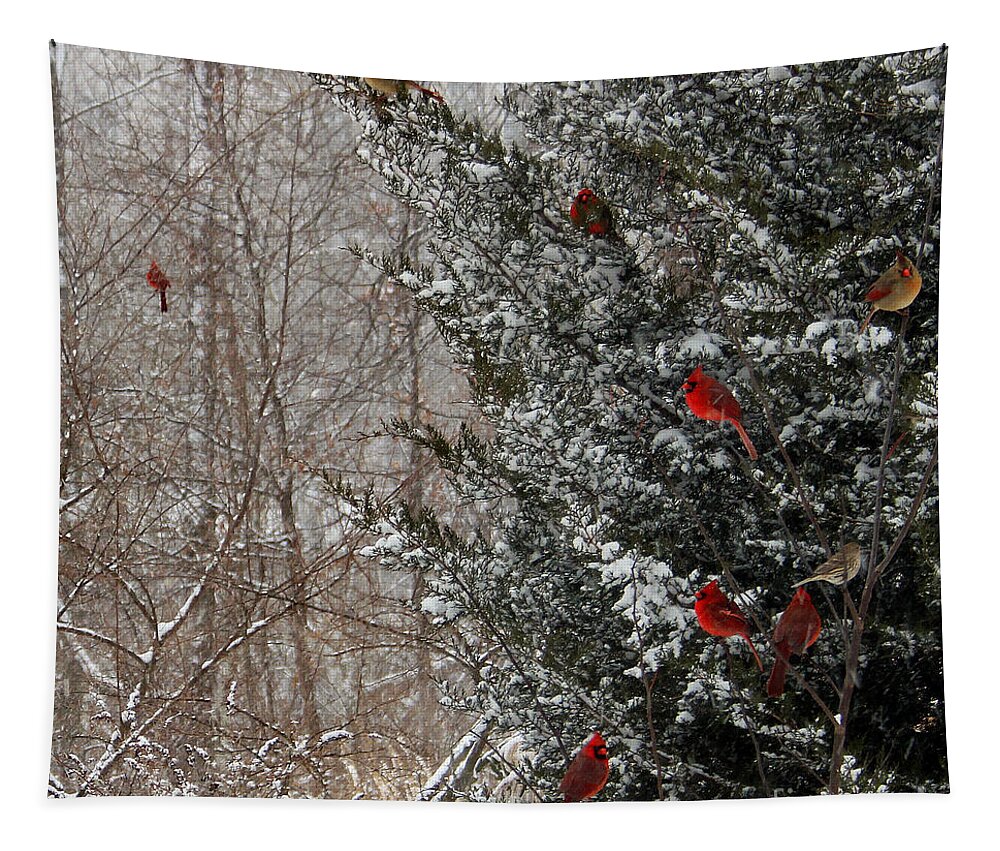 Winter Tapestry featuring the photograph Cardinals in Winter 1 Square by Karen Adams