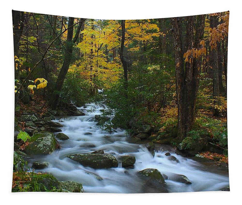 Nunweiler Tapestry featuring the photograph Cascades on the Motor Nature Trail by Nunweiler Photography