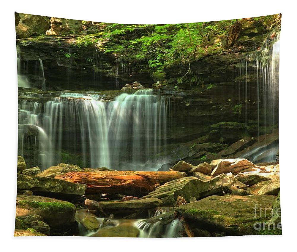 Ricketts Glen Waterfalls Tapestry featuring the photograph Cascading Through Glen Leigh by Adam Jewell