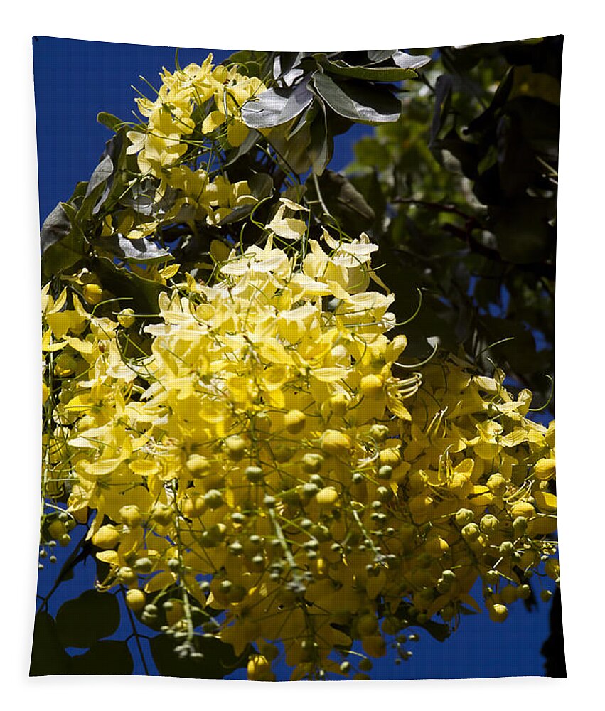 Cassia Fistula Tapestry featuring the photograph Cassia fistula - Golden Shower Tree by Sharon Mau