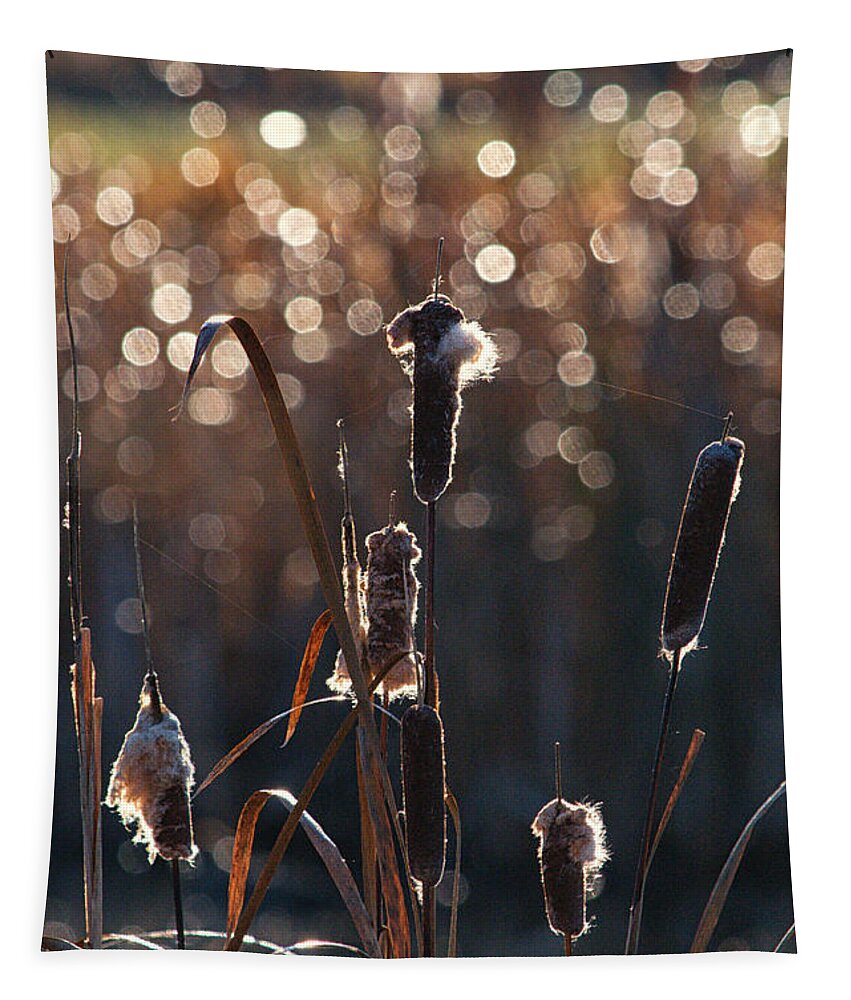 Marsh Tapestry featuring the photograph Cattail Morning Dew by Allan Van Gasbeck