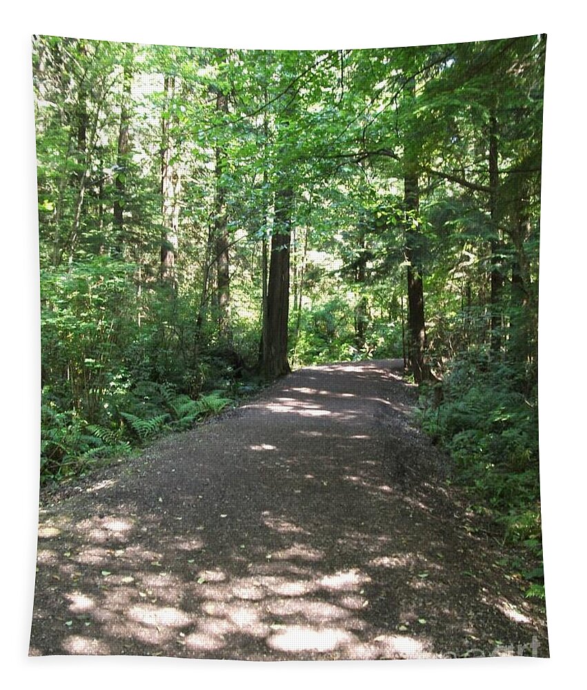 Cedar Woods Tapestry featuring the photograph Cedar Shadow Steps by Kim Prowse