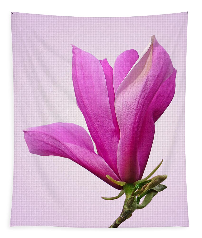 Pink Flowers Tapestry featuring the photograph Cerise Pink Magnolia Flower by Gill Billington