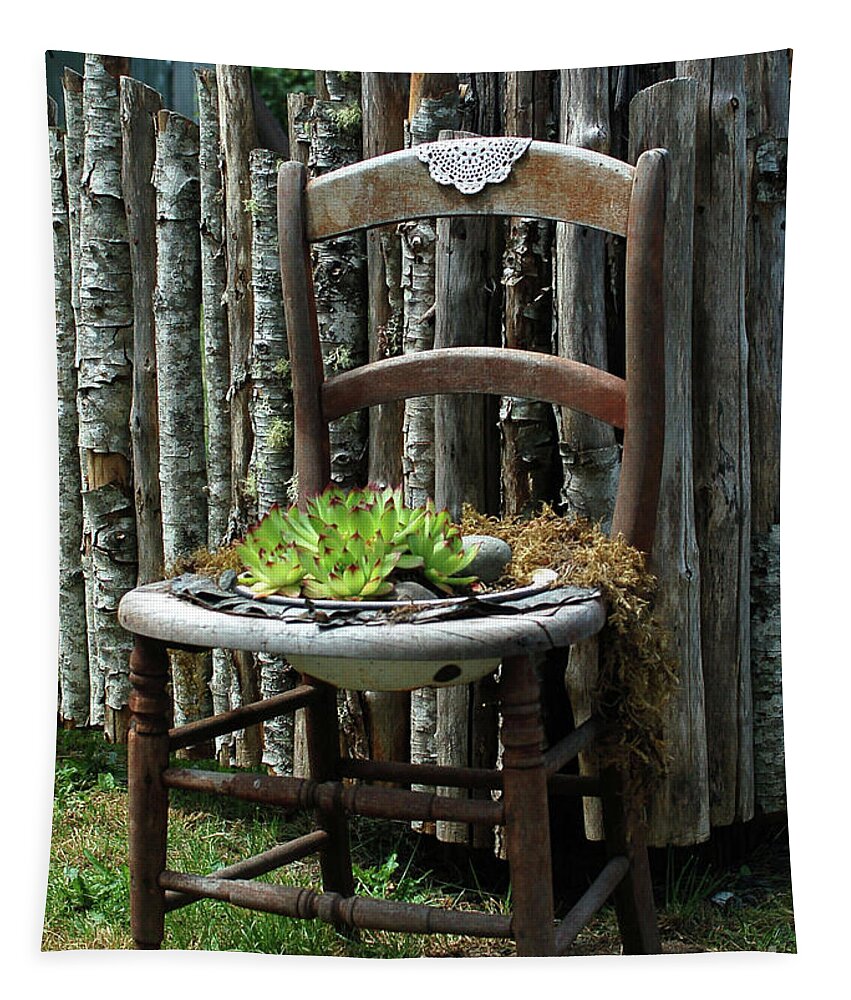 Planter Tapestry featuring the photograph Chair planter by Ron Roberts