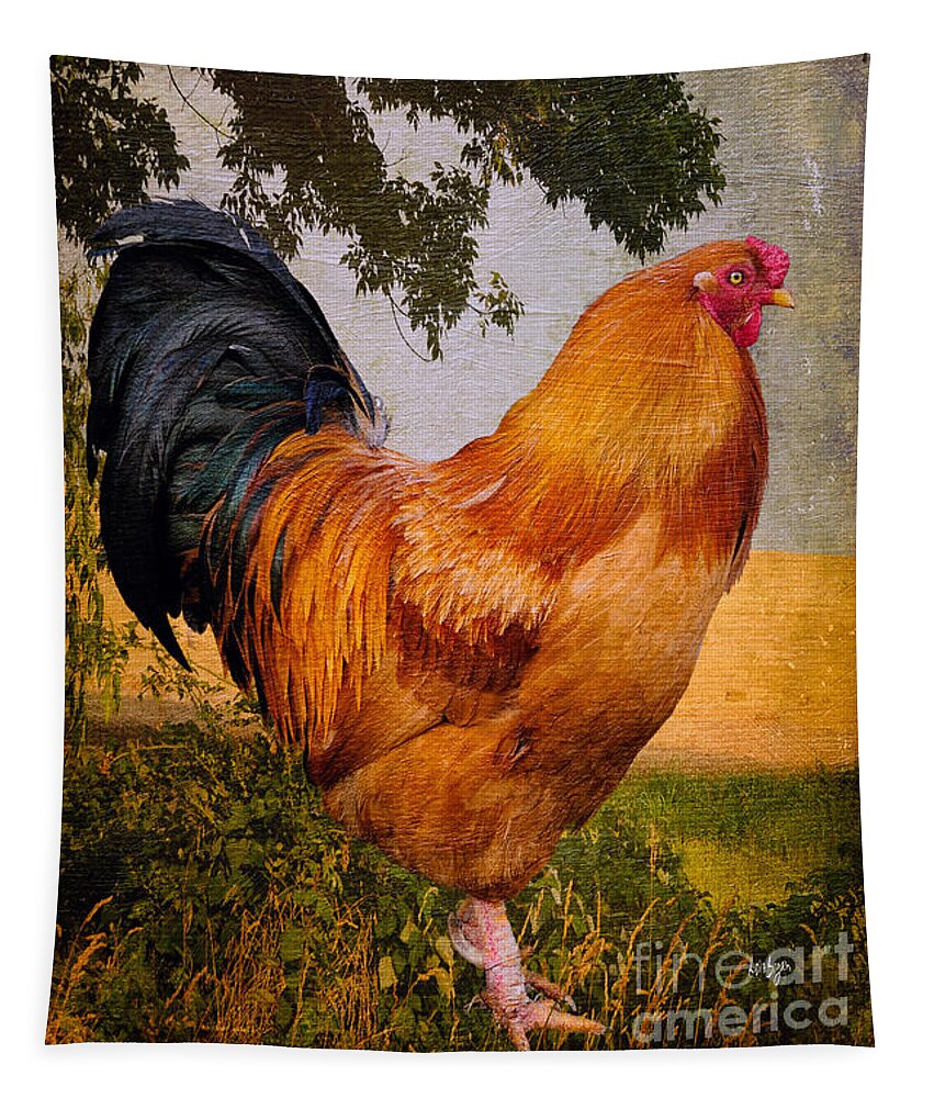 Chanticleer Tapestry featuring the photograph Chanticleer In Blue by Lois Bryan