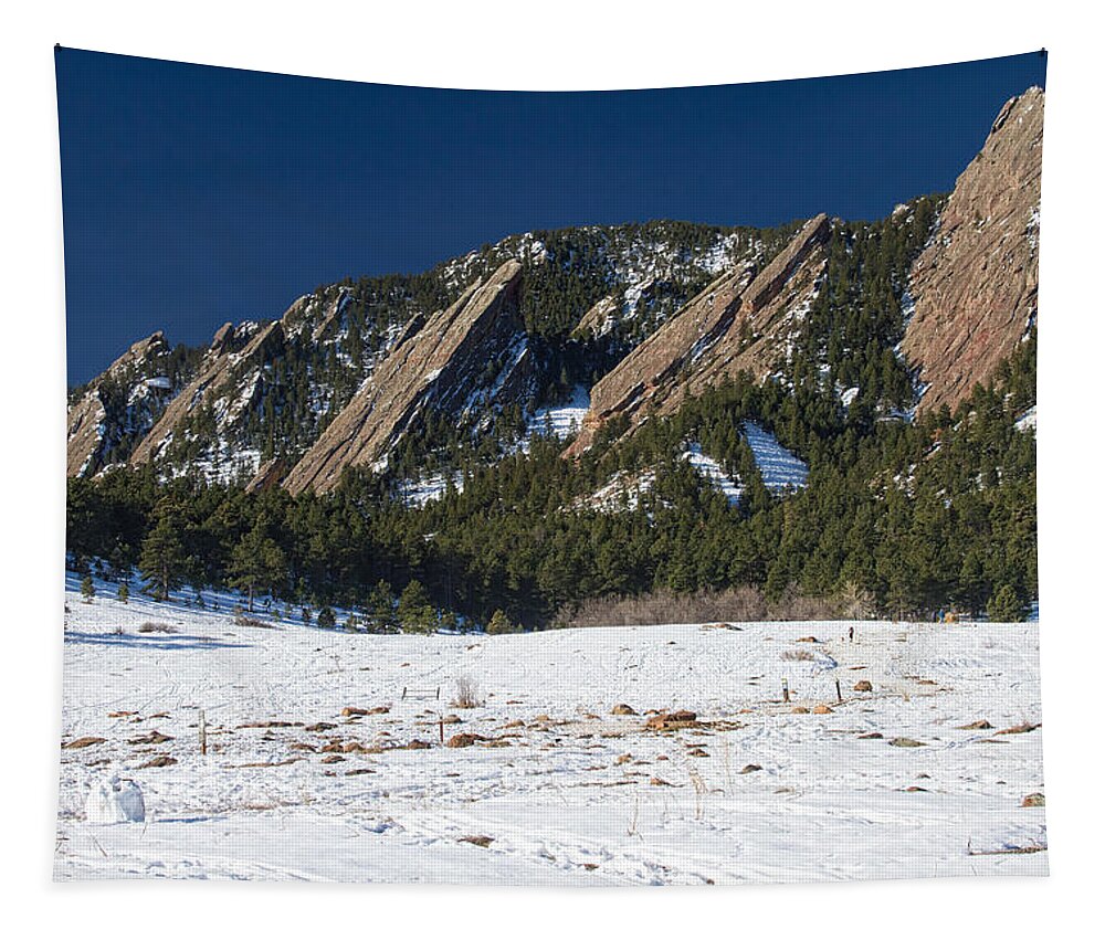 Snowy Tapestry featuring the photograph Chautauqua Park Boulder Colorado Winter View by James BO Insogna
