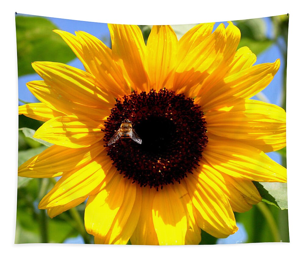 Yellow Tapestry featuring the photograph Cheerful Sunflower with Bee by Carol Groenen
