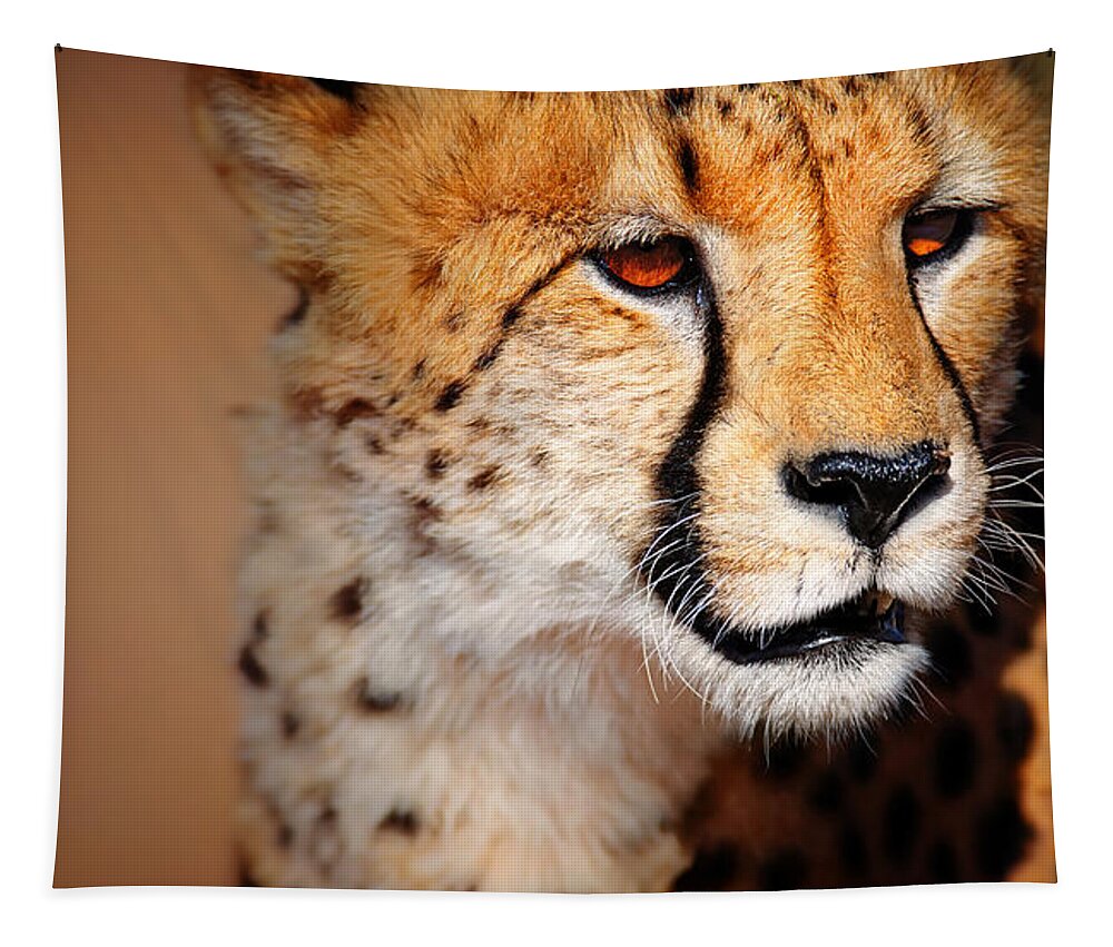 #faatoppicks Tapestry featuring the photograph Cheetah portrait by Johan Swanepoel