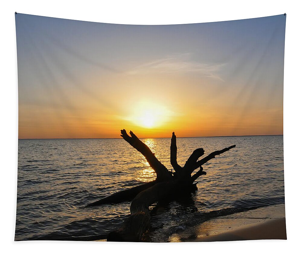 Chesapeake Tapestry featuring the photograph Chesapeake Bay Driftwood at Sunset by Bill Cannon