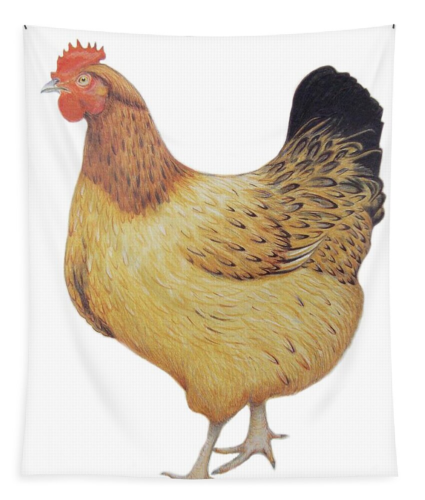 Chicken; Poultry; Bird; Food; Animal Tapestry featuring the painting Chicken by Ele Grafton