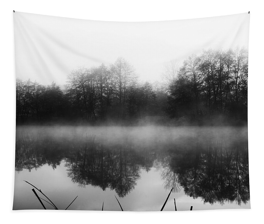 Lake Tapestry featuring the photograph Chilly Morning Reflections by Miguel Winterpacht