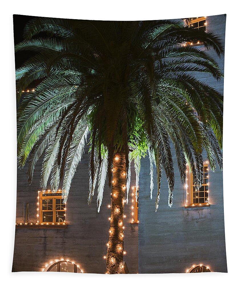 Scenery Tapestry featuring the photograph Christmas Palm by Kenneth Albin