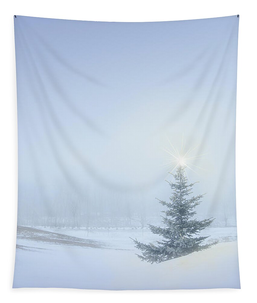 Christmas Tapestry featuring the photograph Christmas Spirit by Sandra Parlow