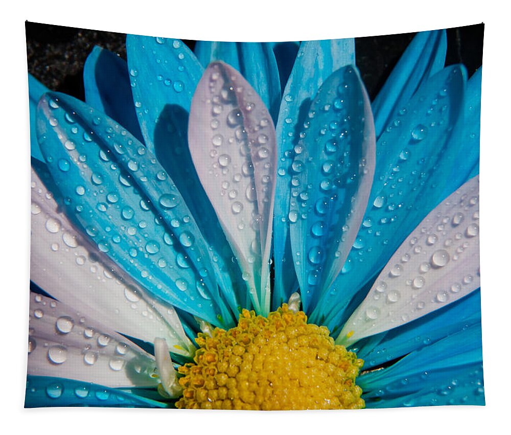 Photography Tapestry featuring the photograph Chrysanthemum by Vanessa Thomas