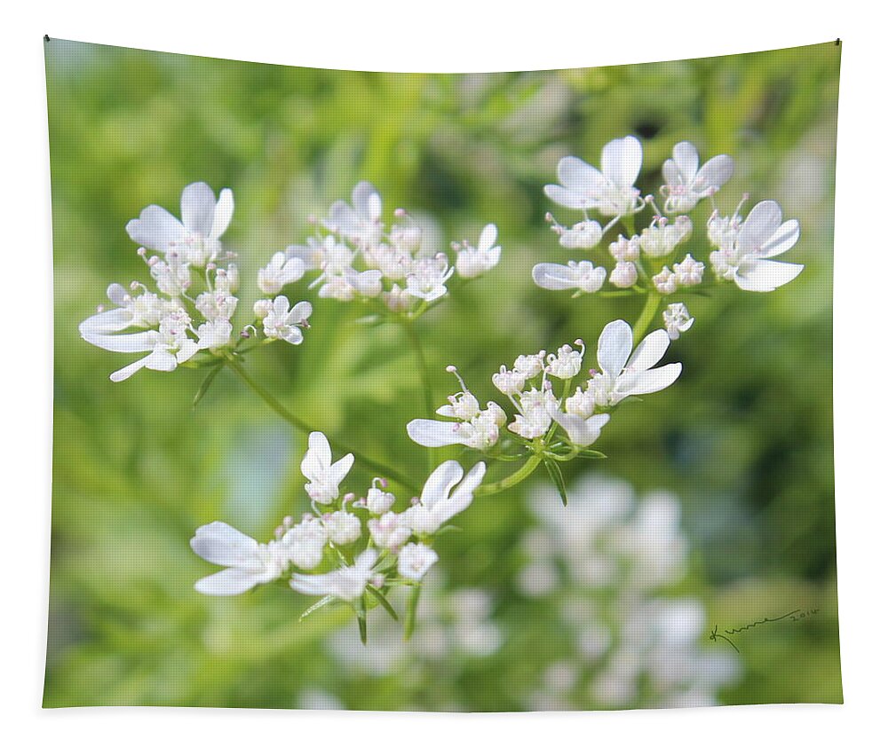 Cilantro Tapestry featuring the photograph Cilantro Flowers by Kume Bryant