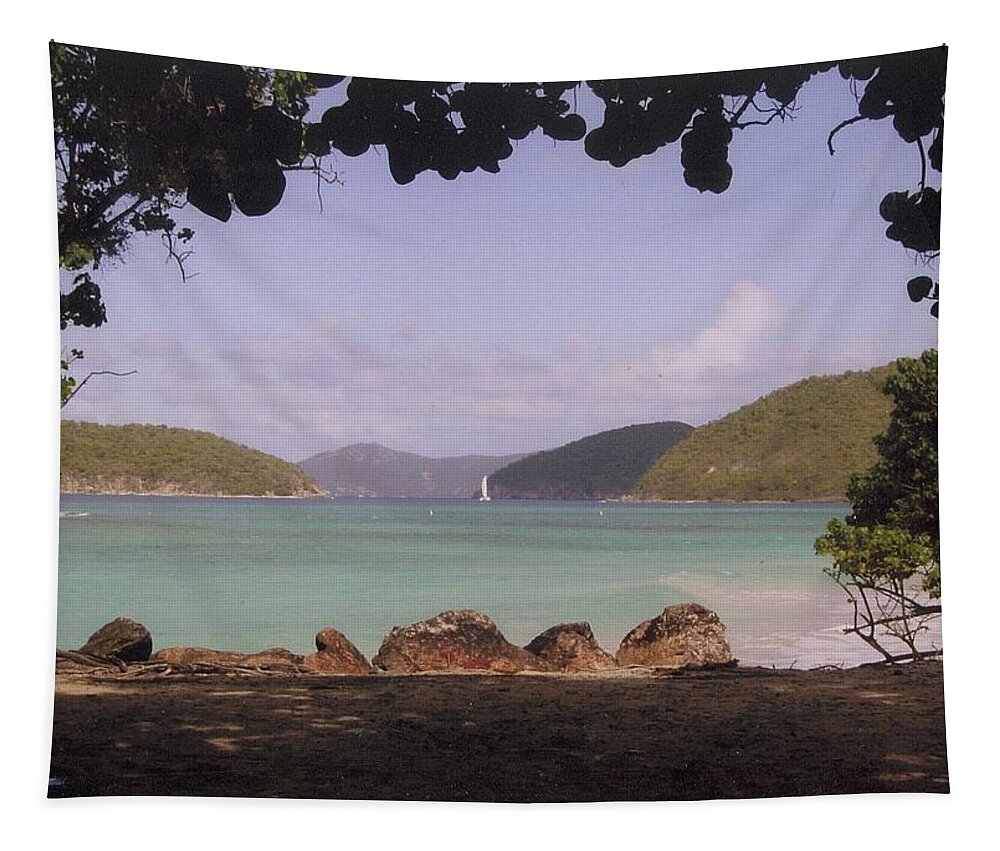 Cinnamon Bay Tapestry featuring the photograph Cinnamon bay by Robert Nickologianis