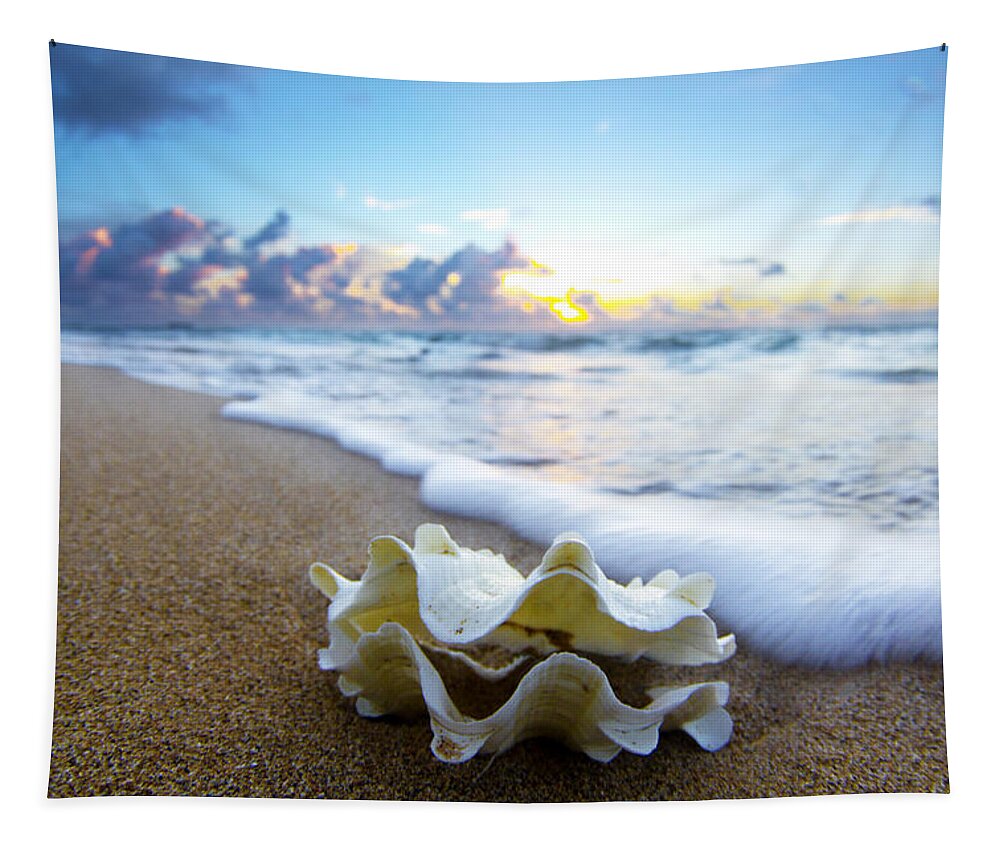 Clam Shell Tapestry featuring the photograph Clam foam by Sean Davey