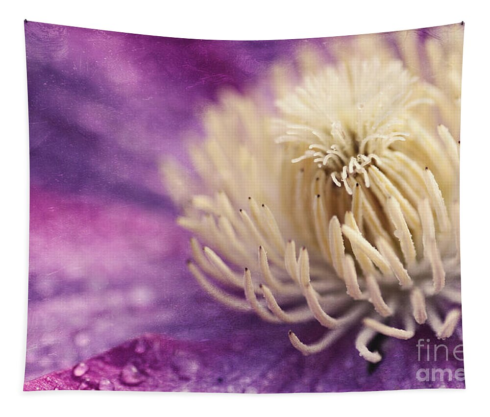 Flower Tapestry featuring the photograph Clematis-macro photograph of a purple clematis by Sylvia Cook