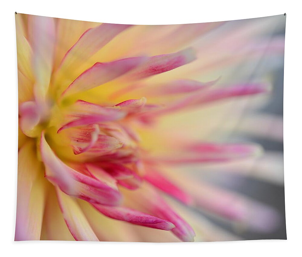 Dahlia Tapestry featuring the photograph Cliff's Dahlia by Kathy Paynter