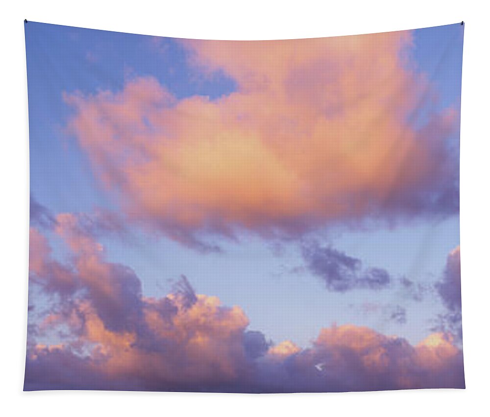 Pink Tapestry featuring the photograph Clouds by Joe Sohm