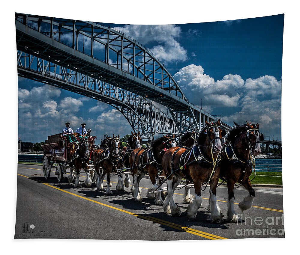 Clydesdale's Tapestry featuring the photograph Clydesdales and Blue water Bridges by Ronald Grogan