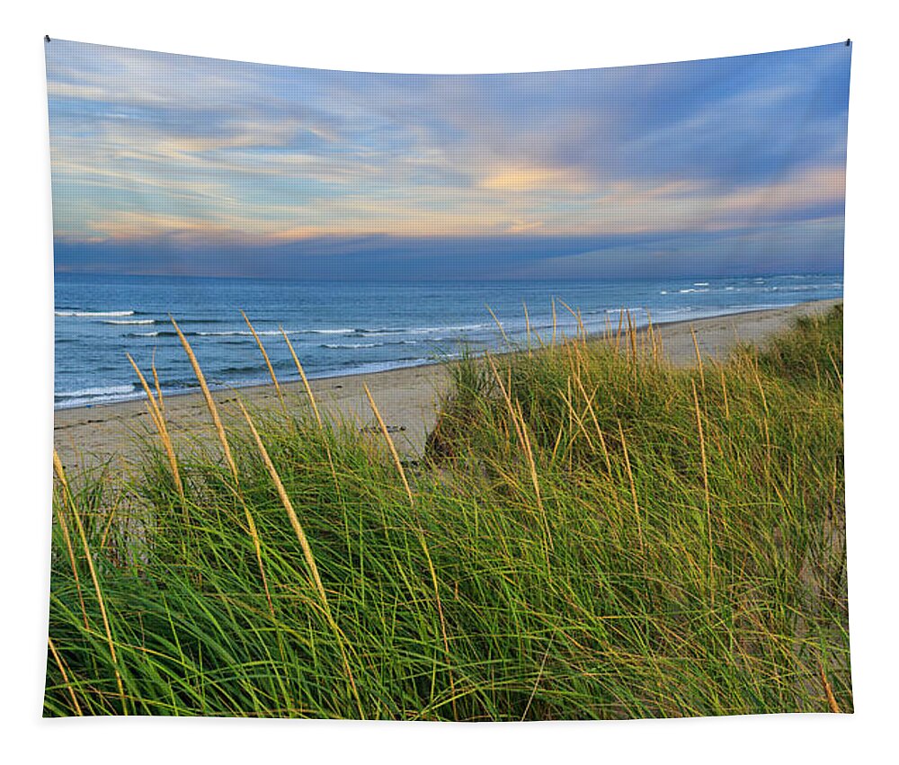 Cape Cod National Seashore Tapestry featuring the photograph Coast Guard Beach Cape Cod by Bill Wakeley