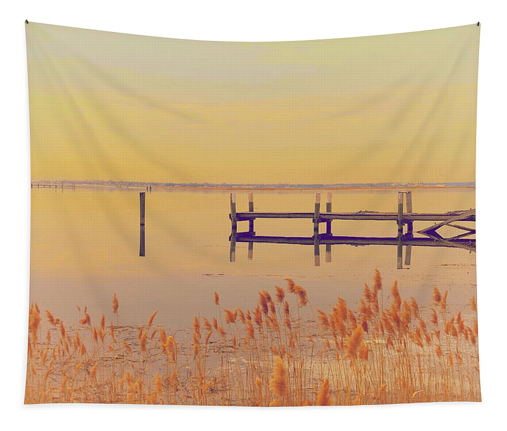 Winter Tapestry featuring the photograph Coastal Winter by Karol Livote