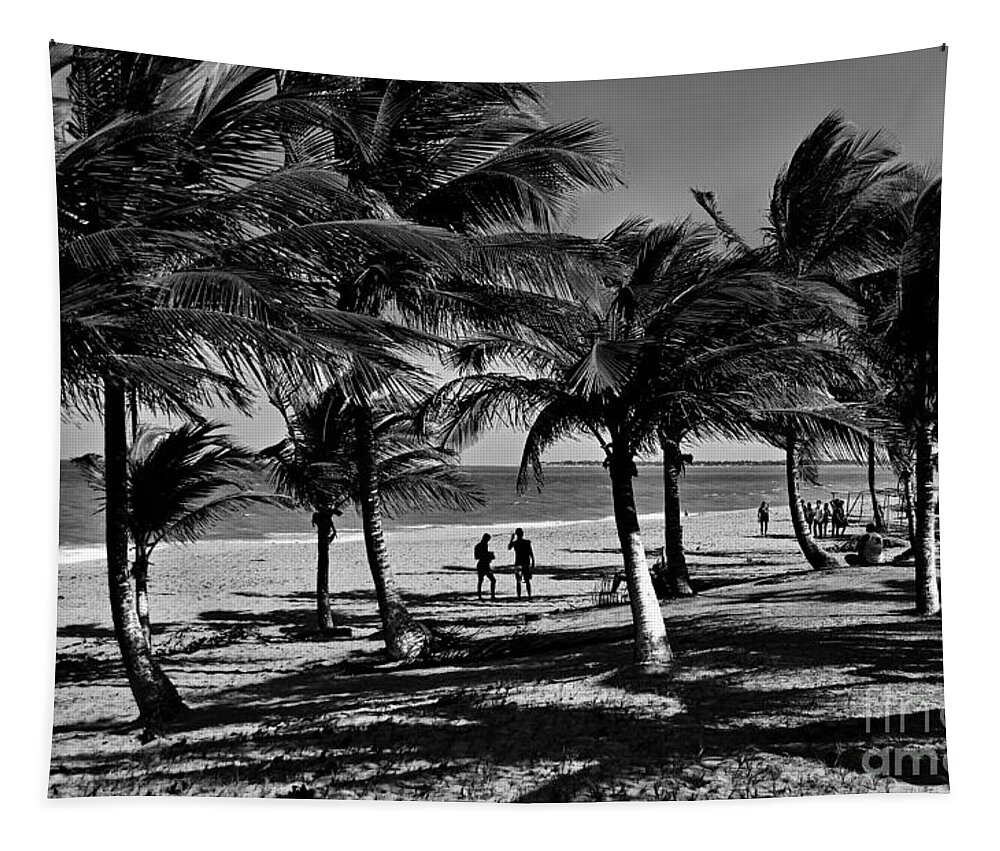 Bw Tapestry featuring the photograph Coconut Trees on a Typical Bahia Beach by Carlos Alkmin