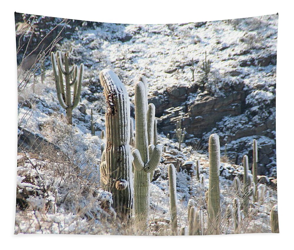 David S Reynolds Tapestry featuring the photograph Cold Saguaros by David S Reynolds
