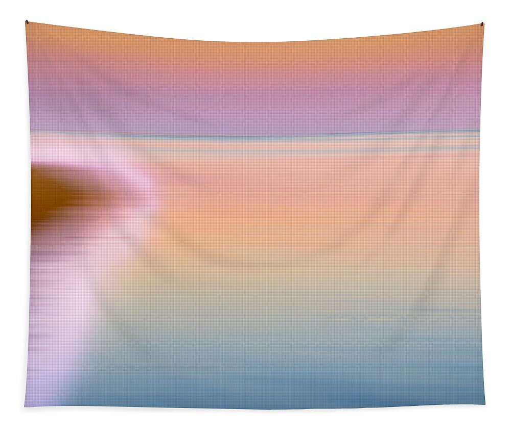 Abstract Tapestry featuring the photograph Color of Morning by Bill Wakeley