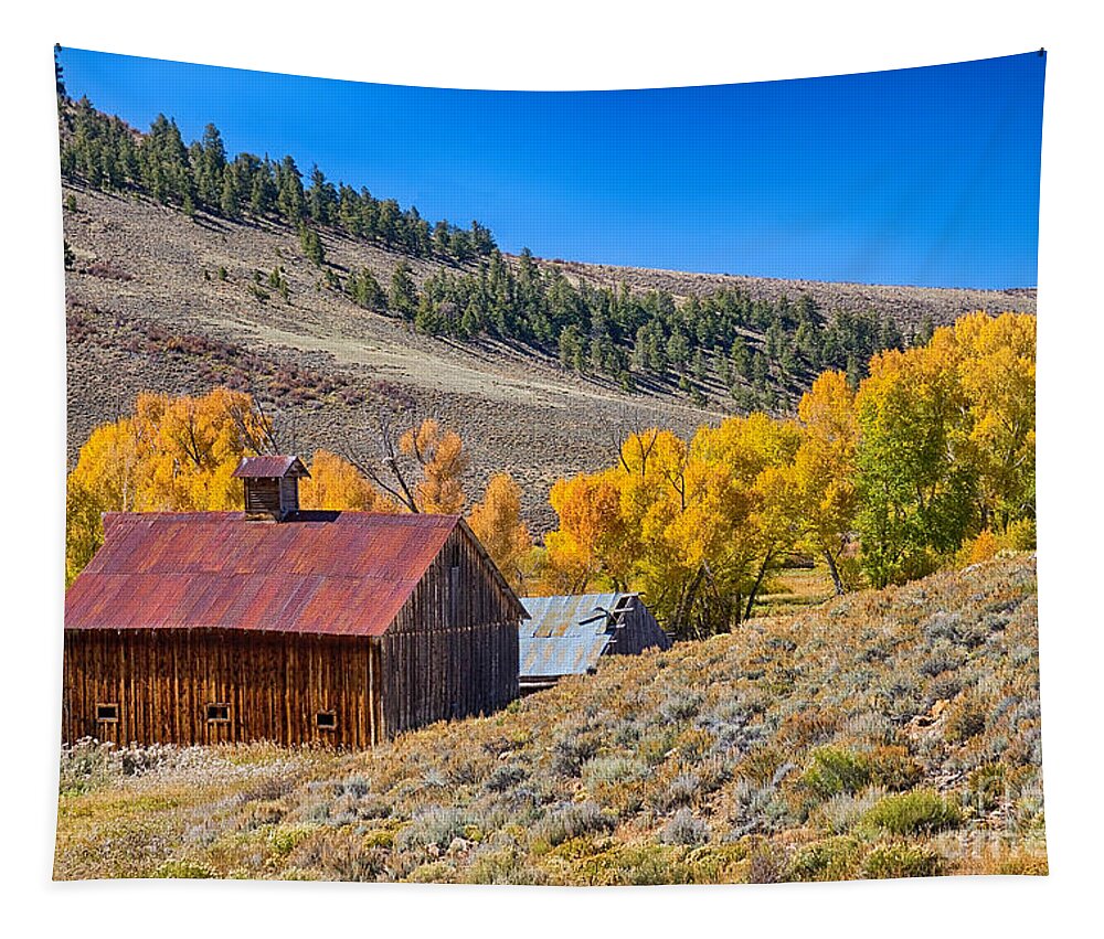  Agriculture Tapestry featuring the photograph Colorado Rustic Rural Barn with Autumn Colors by James BO Insogna