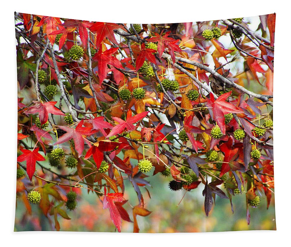 Autumn Tapestry featuring the photograph Colored Leaves and Faery Maces by Diana Haronis