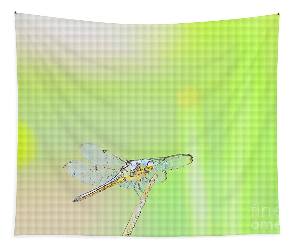 Insect Tapestry featuring the photograph Colorful Dragonfly by Donna Brown