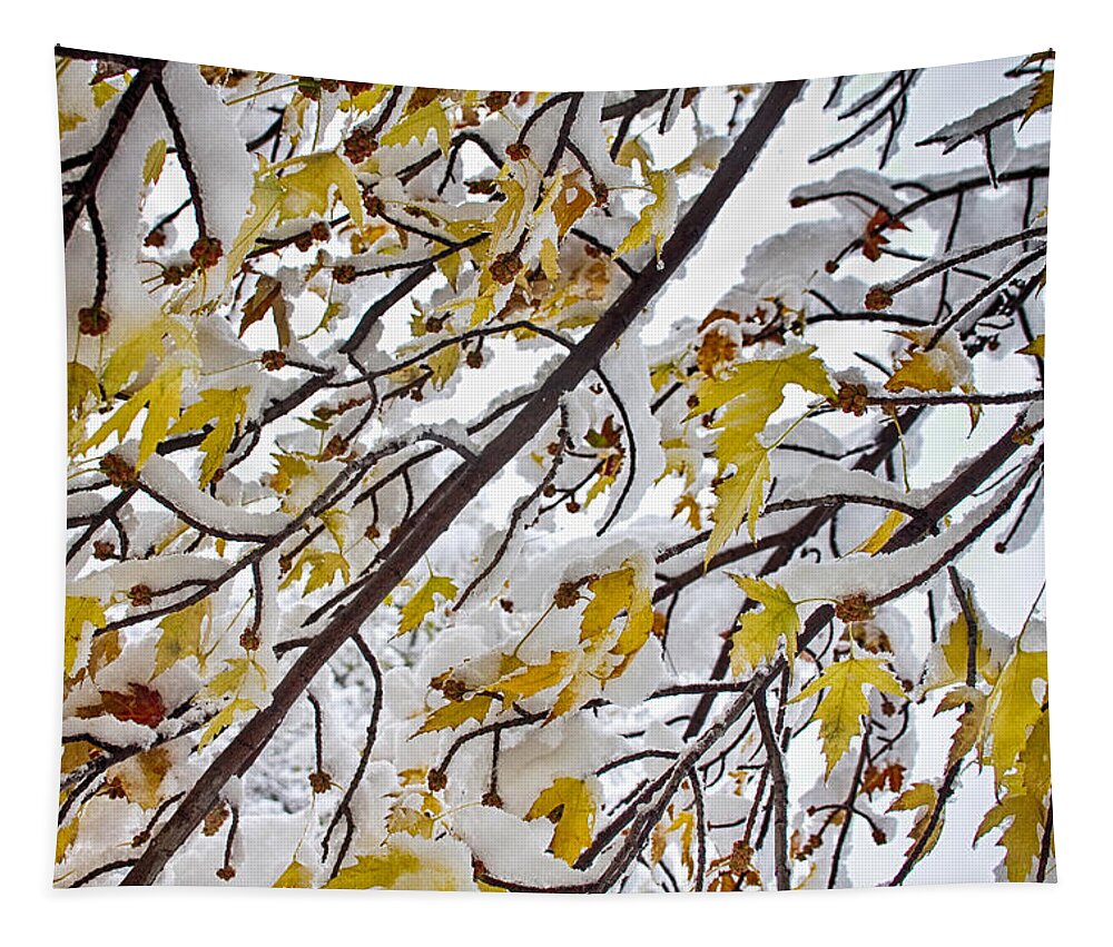 Tree Tapestry featuring the photograph Colorful Maple Tree Branches In The Snow 3 by James BO Insogna