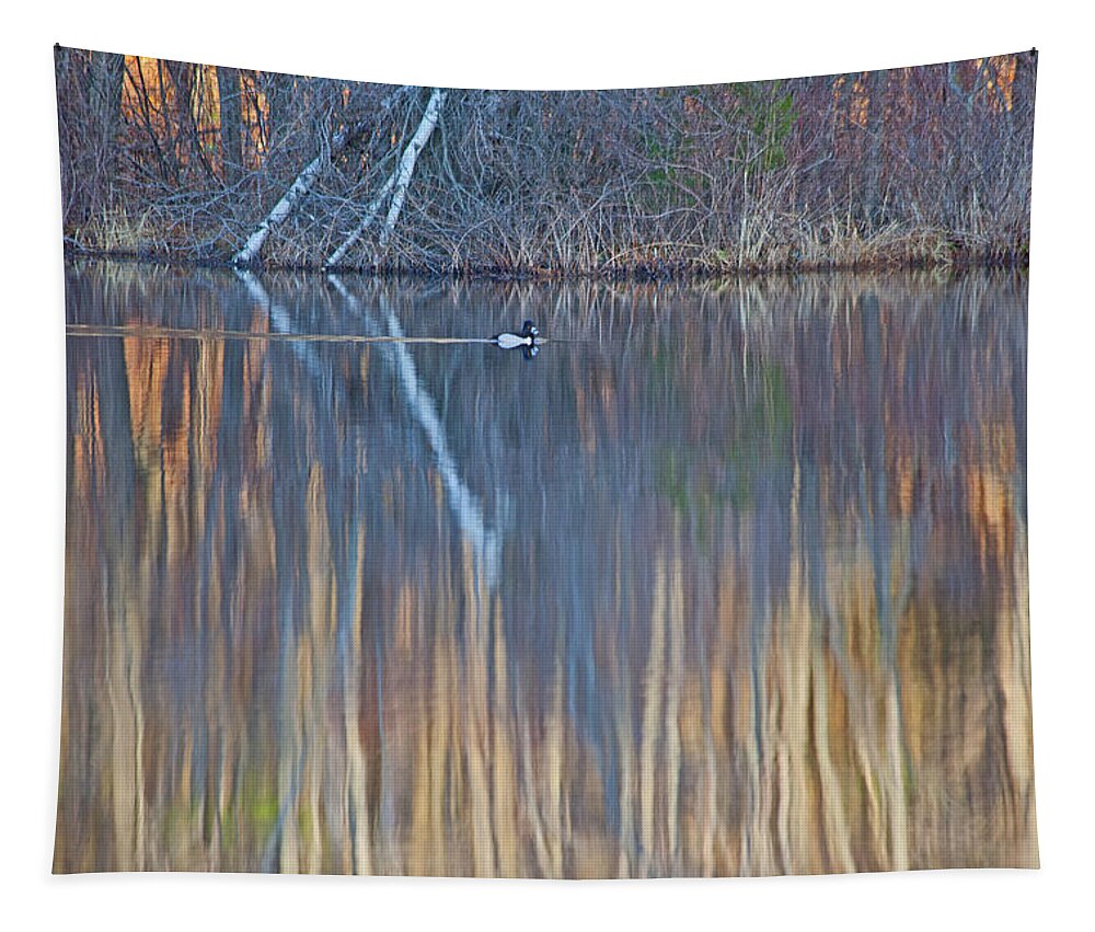 Colors Of March Tapestry featuring the photograph Colors Of March by Karol Livote