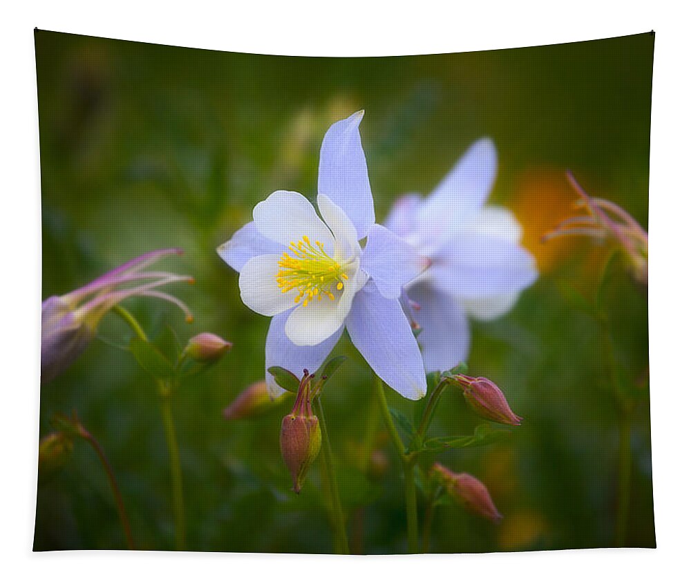 Columbine Tapestry featuring the photograph Columbine by Darren White