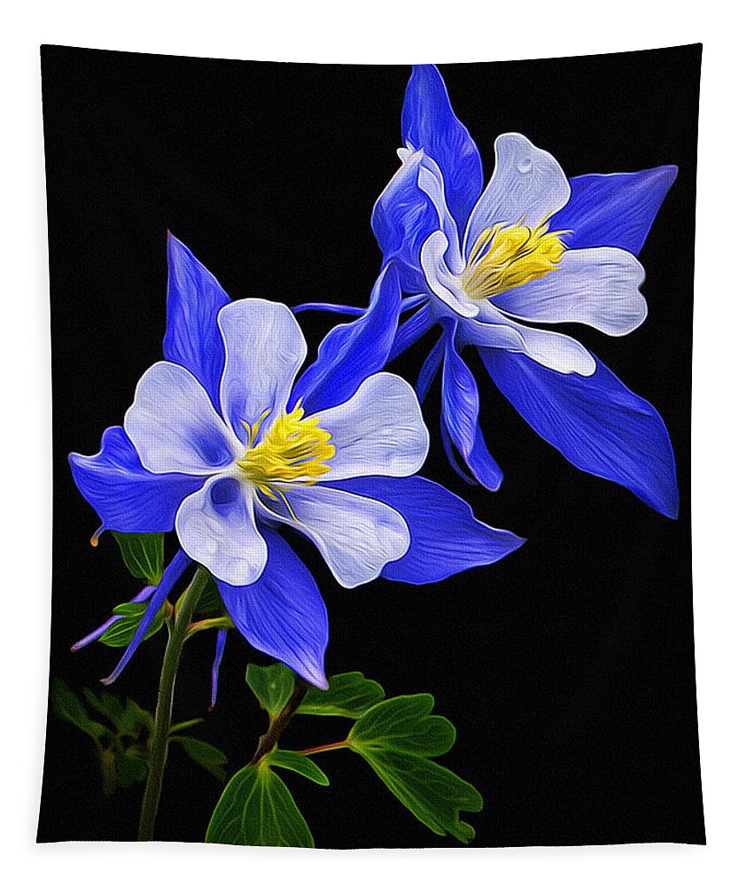 Columbine Tapestry featuring the photograph Columbine Duet by Priscilla Burgers