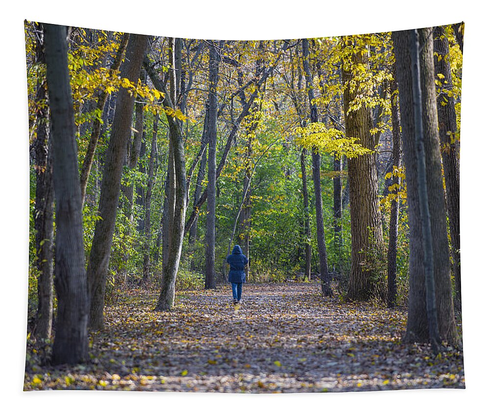 Fall Tapestry featuring the photograph Come For a Walk by Sebastian Musial