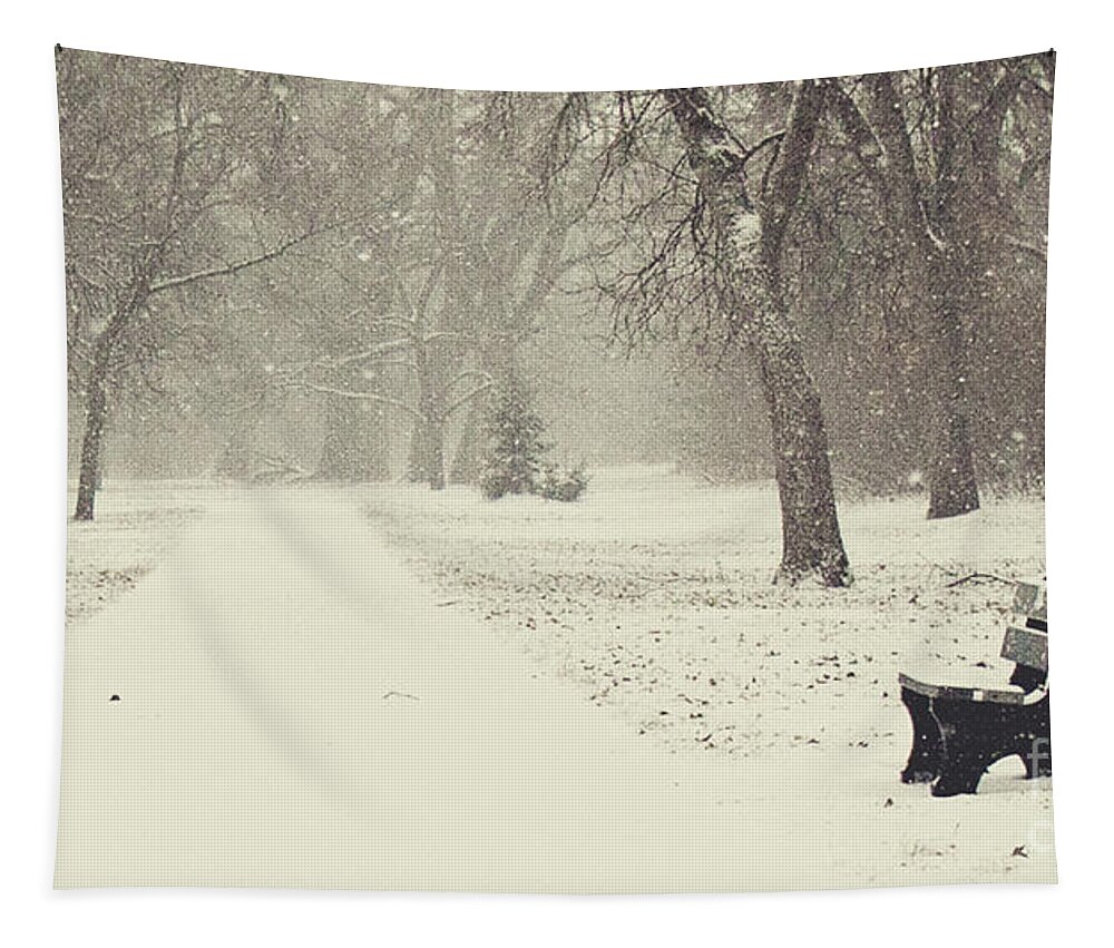 Park Tapestry featuring the photograph Come Sit by Pam Holdsworth