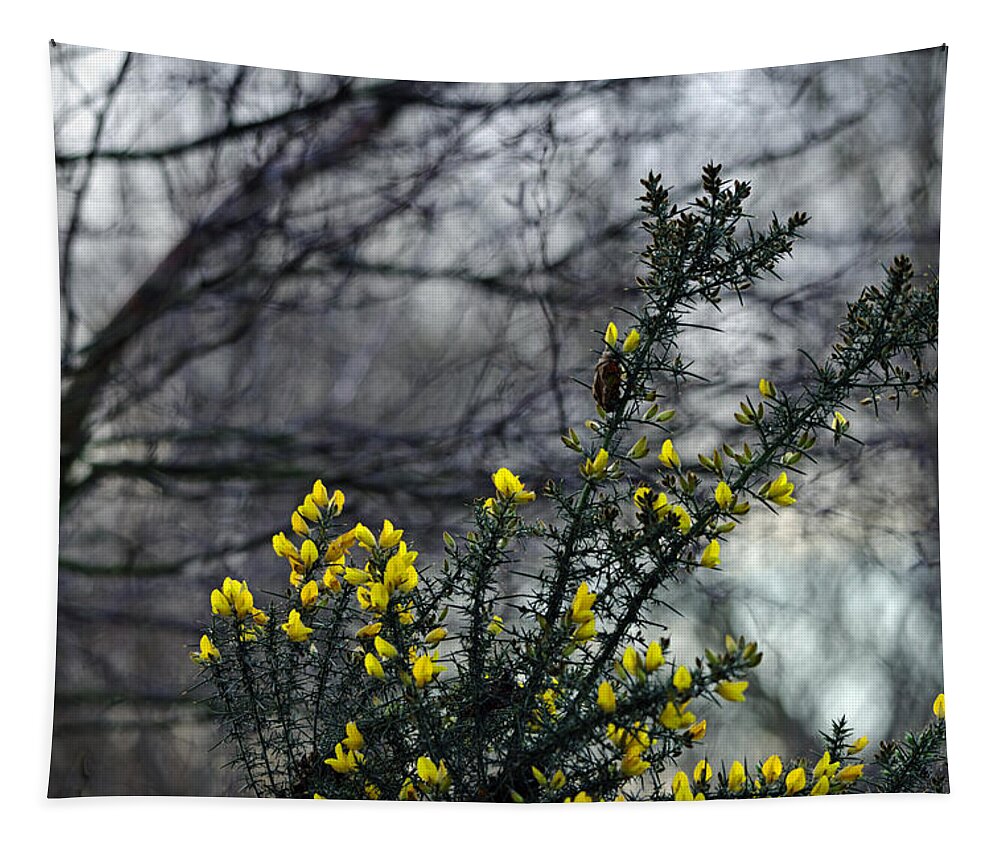 Britain Tapestry featuring the photograph Common Gorse in the Woodland by Rod Johnson