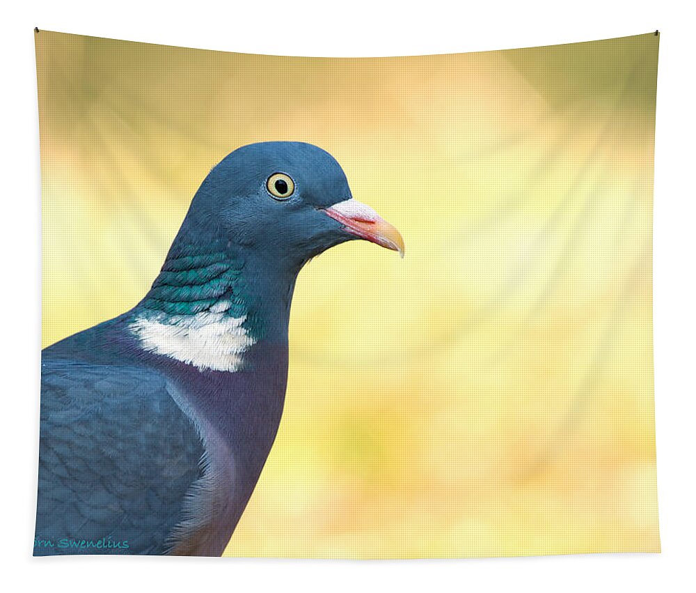 Common Wood Pigeon Tapestry featuring the photograph Common Wood Pigeon by Torbjorn Swenelius