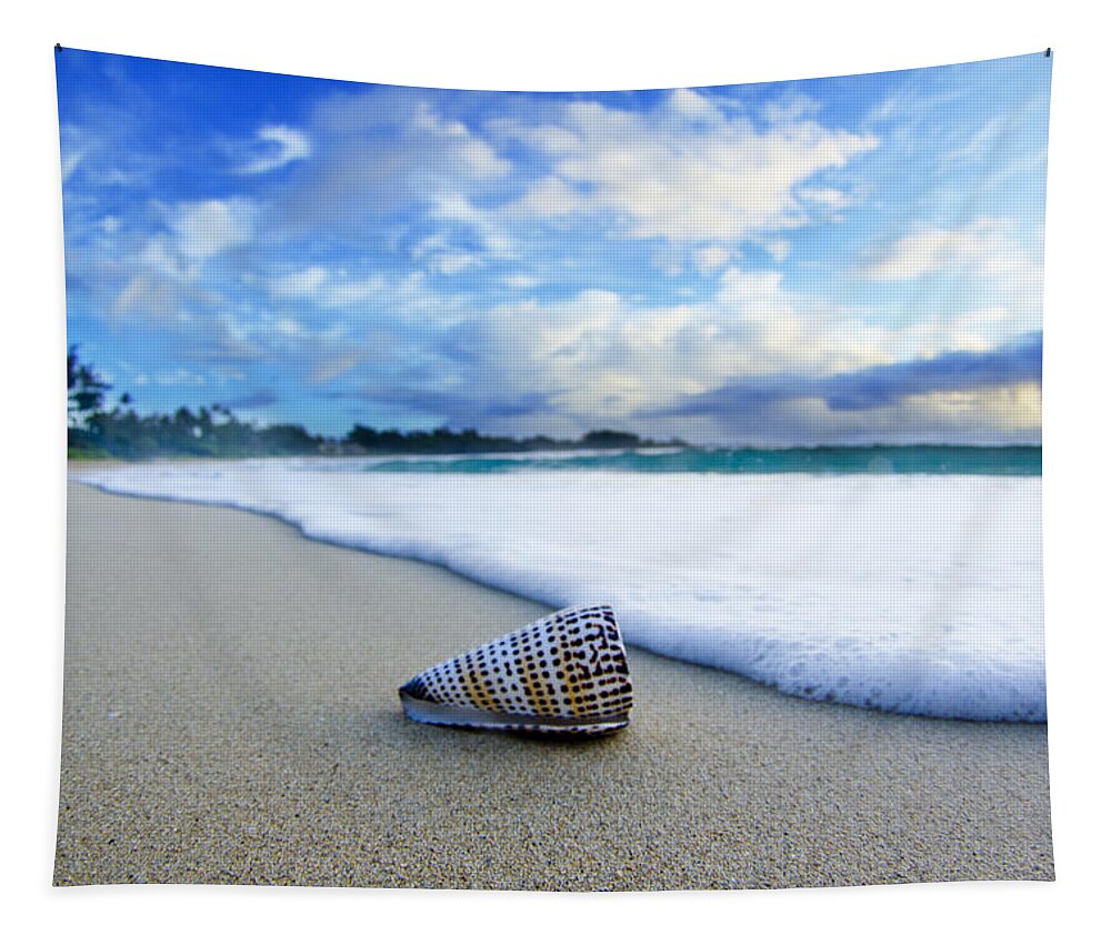  Seashell Tapestry featuring the photograph Cone Foam by Sean Davey