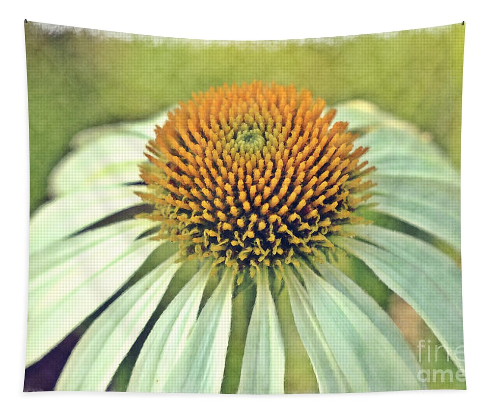 Coneflower Tapestry featuring the photograph Coneflower by Carrie Cranwill