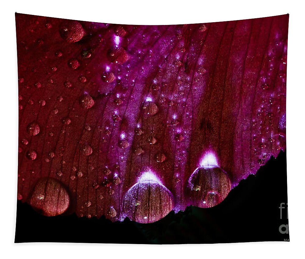 Cool Rain Tapestry featuring the photograph Cool Rain by Mitch Shindelbower