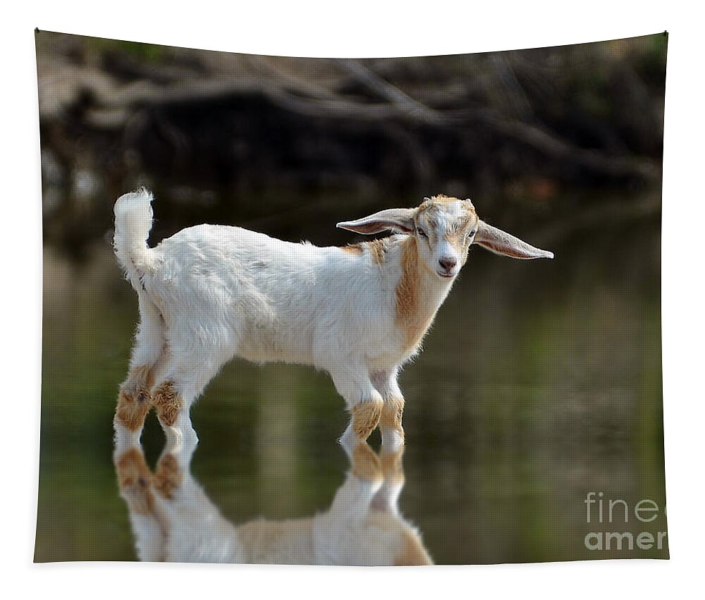 Goat Tapestry featuring the photograph Cooling Down In A Pond by Kathy Baccari