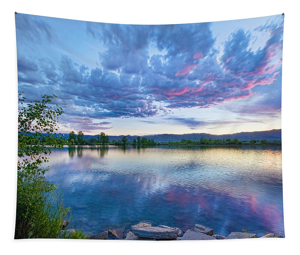 Reflections Tapestry featuring the photograph Coot Lake View by James BO Insogna