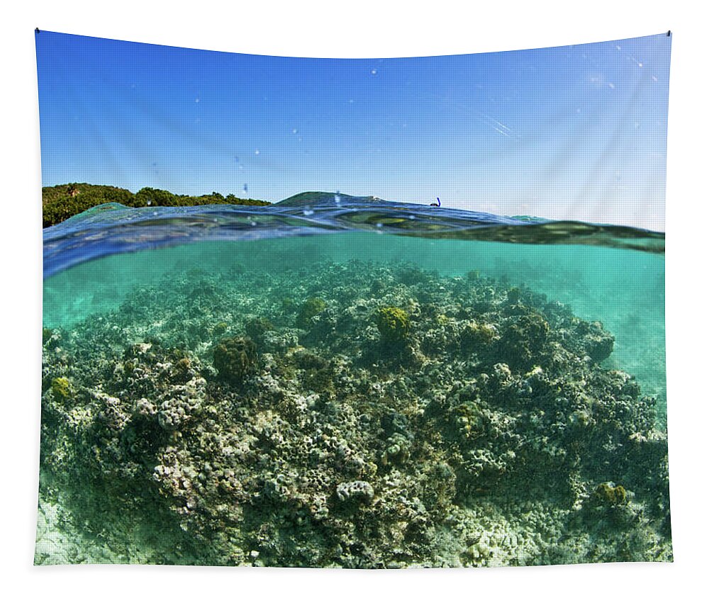 Photography Tapestry featuring the photograph Coral Reef In Culebra Island, Puerto by Panoramic Images