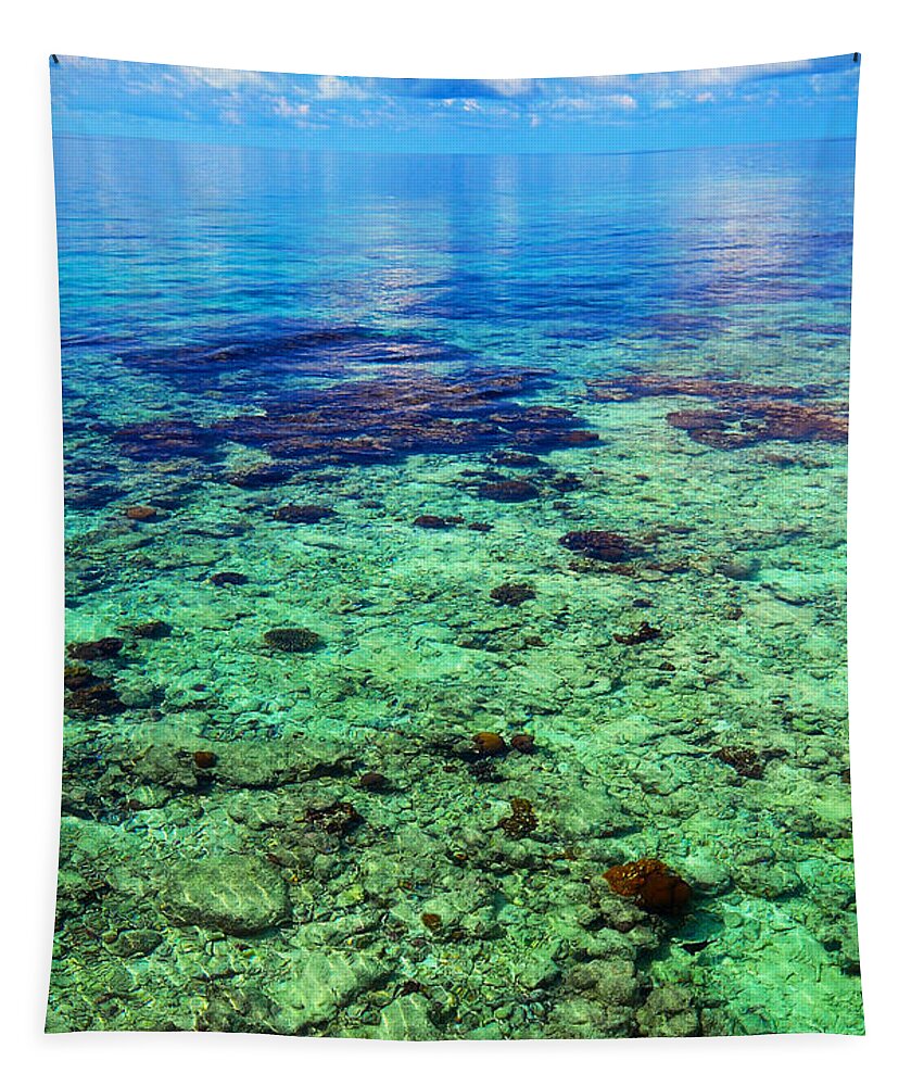 Tropic Tapestry featuring the photograph Coral Reef Near the Island at Peaceful Day. Maldives by Jenny Rainbow