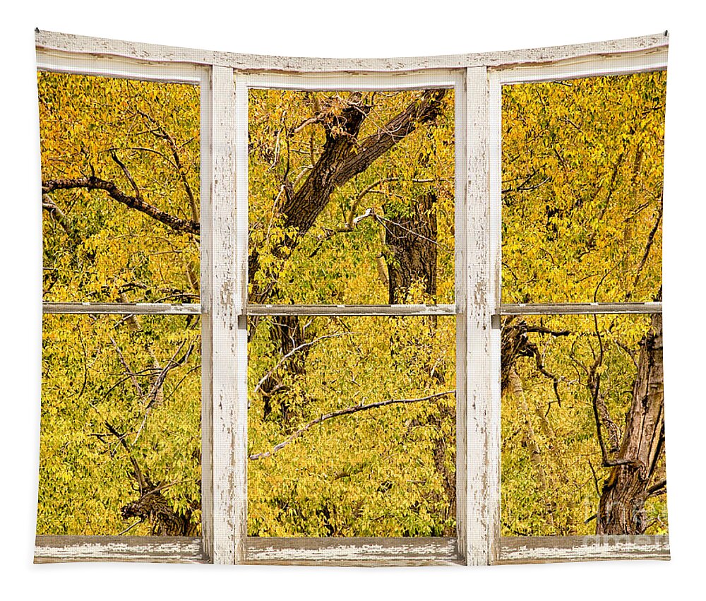 Window Tapestry featuring the photograph Cottonwood Fall Foliage Colors Rustic Farm Window View by James BO Insogna